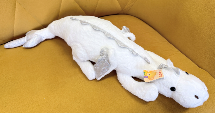 Zrzut ekranu 2025-11-21 135712.png